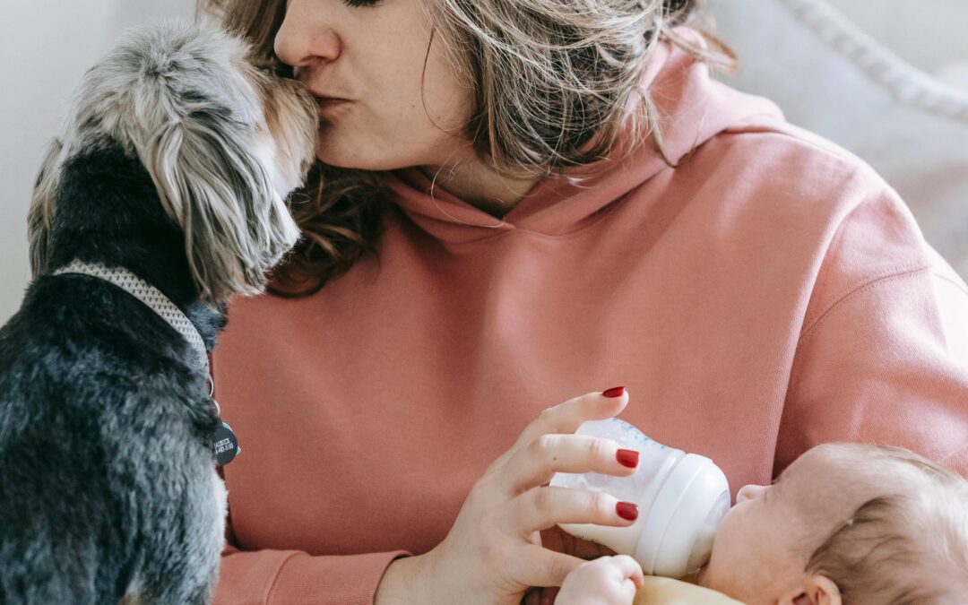 Introducing Your Dog(s) to Your Newborn