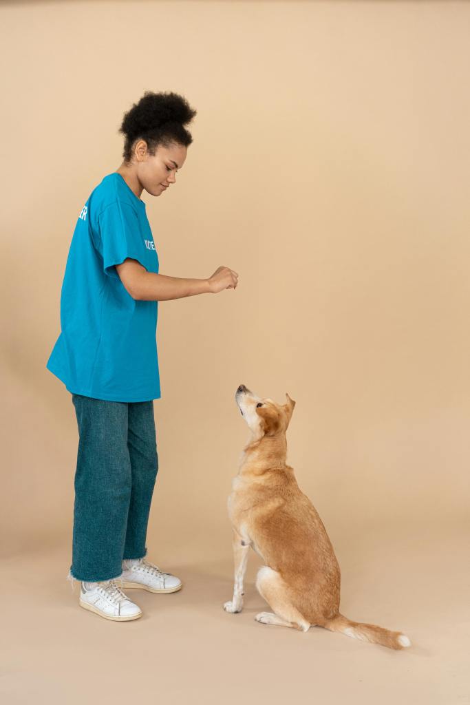 Training dog by posturing